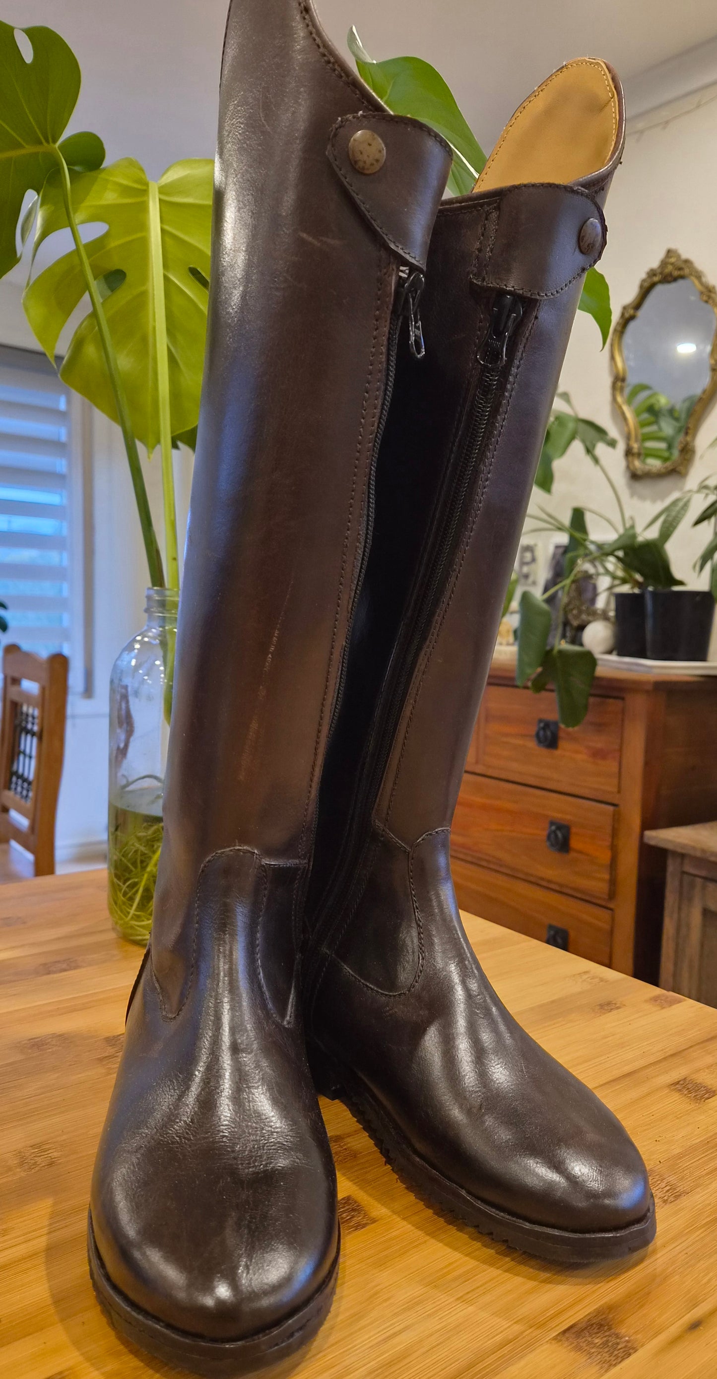 Brown Dressage boot with front zip