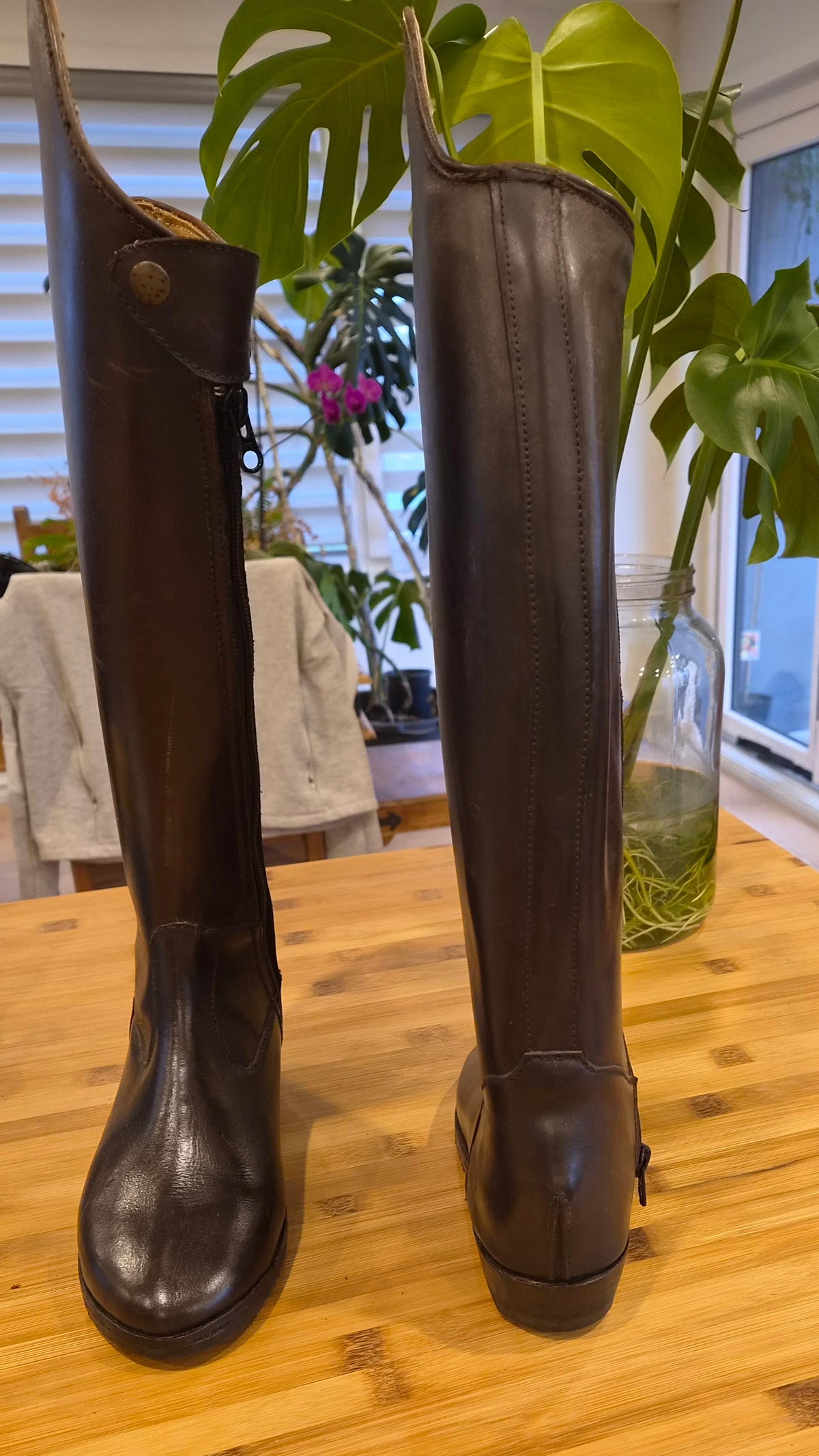 Brown Dressage boot with front zip