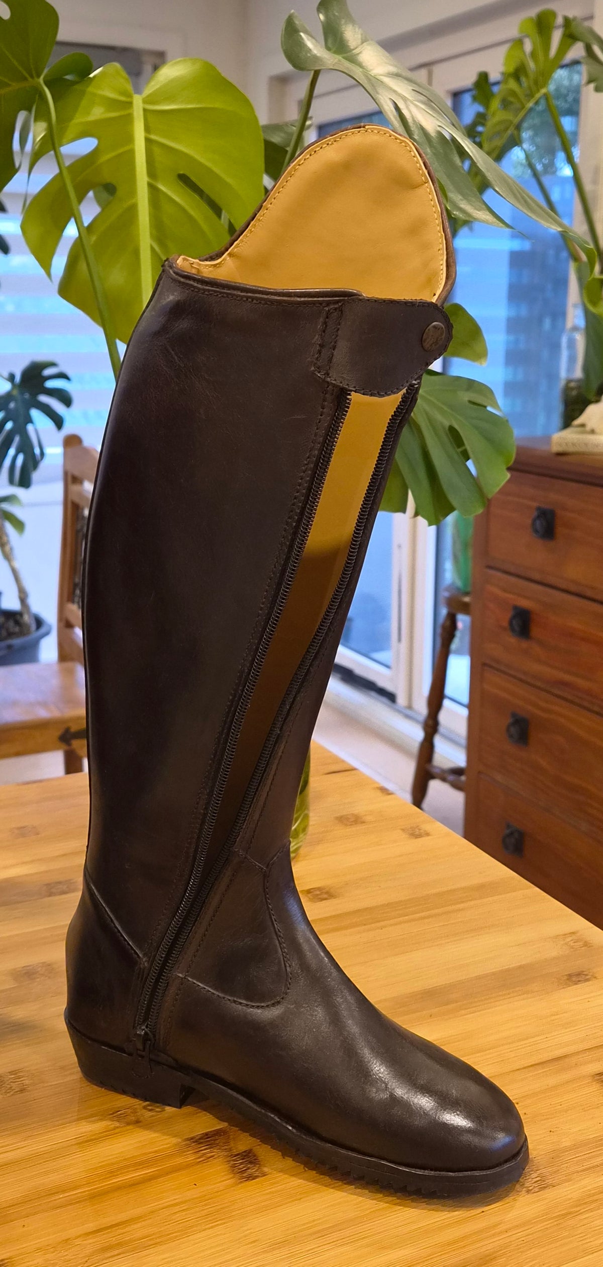 Brown Dressage boot with front zip